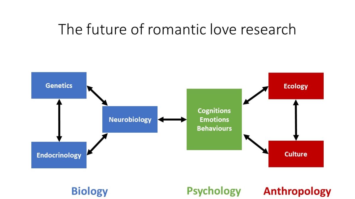 research about romantic love